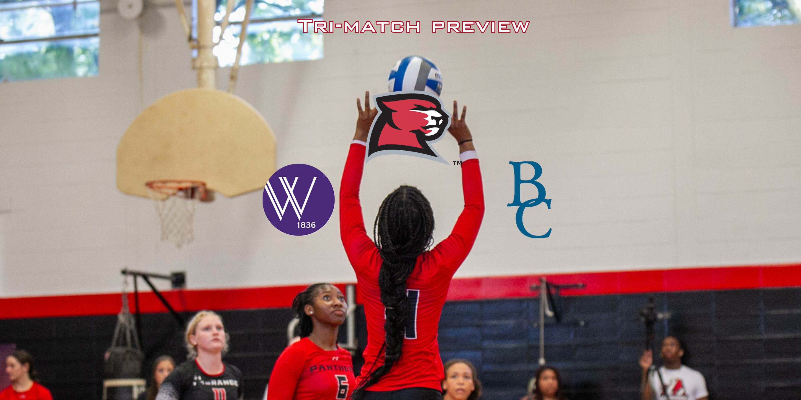 Volleyball travels to Kentucky to take on another weekend tri-match